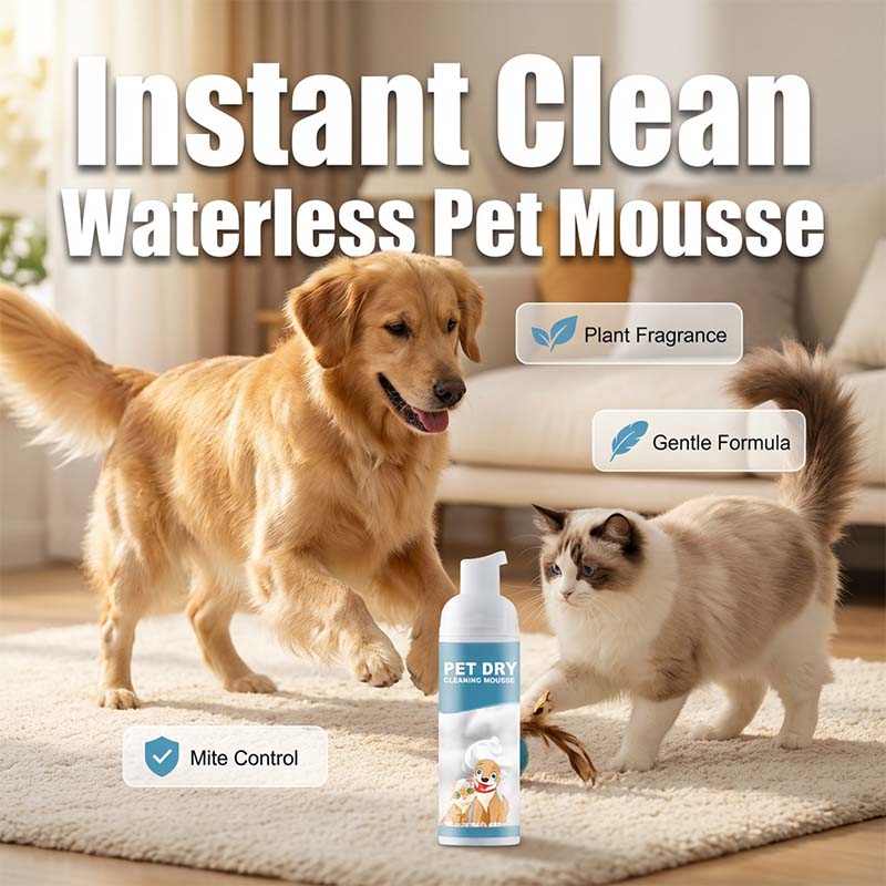 Nem szeretnél minden alkalommal fürdetni kedvencedet? 🐶🐱 Vízmentes tisztítóhab kutyáknak és macskáknak