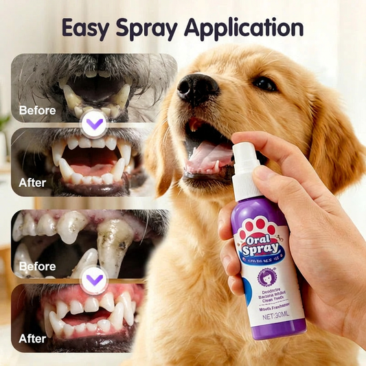 đ„đ„2+2 ingyenesđŸ 2026 Ăj kiadĂĄs! ĂllatfogtisztĂtĂł spray â Nincs szĂŒksĂ©g fogkefĂ©re!