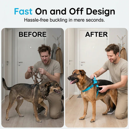 🐕 Könnyen fel- és levehető, vastagított kutyahám, sétához ideális ✨