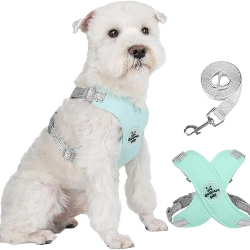 🐕 X alakú kialakítású, húzásgátló mellény és kutyapóráz szett