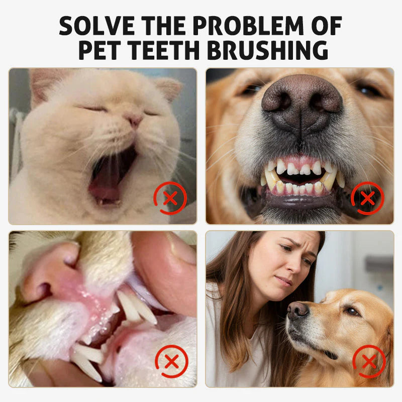 1+2 ingyen🐱Kutyák és macskák számára készült fogkőeltávolító szer✨🦷
