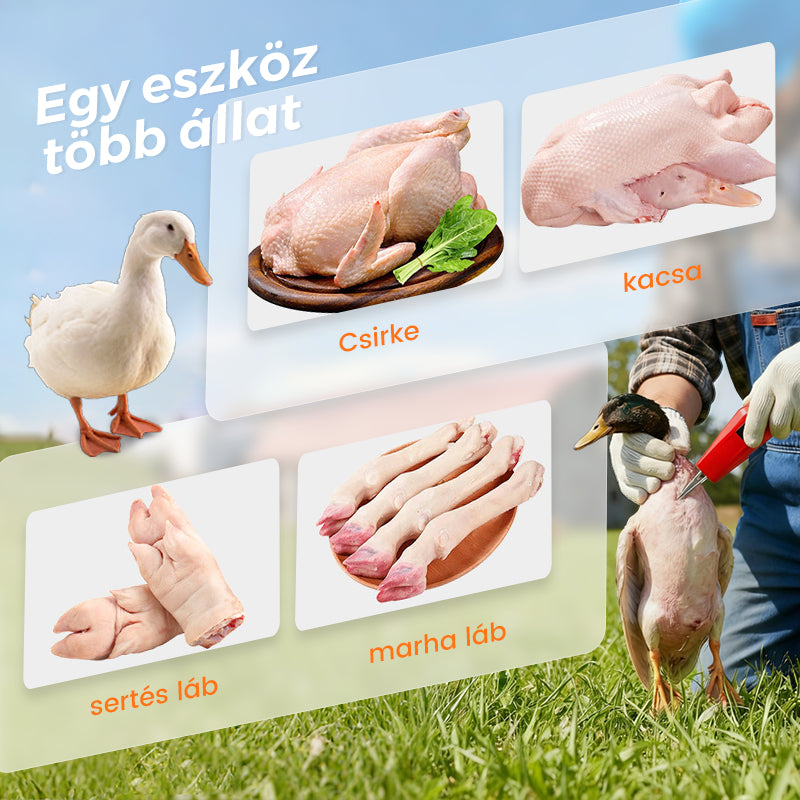 🦆🔥2026 AKCIÓ 🔥🐓Elektromos baromfi tolltépő gép – Egyszerű tolltépés, idő- és energiamegtakarítás!