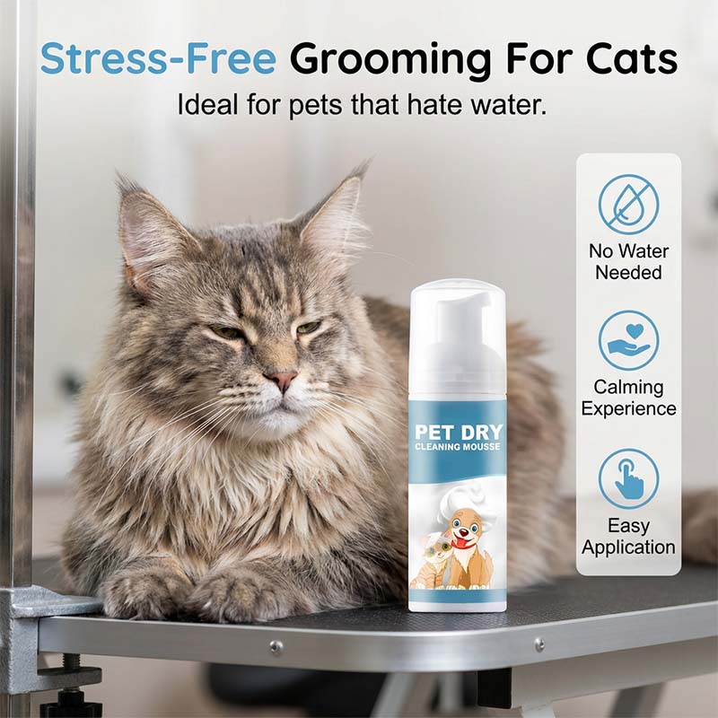 Nem szeretnél minden alkalommal fürdetni kedvencedet? 🐶🐱 Vízmentes tisztítóhab kutyáknak és macskáknak