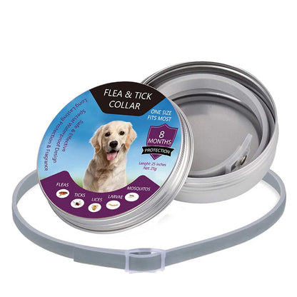 🐶🐱 Macskáknak és kutyáknak szánt bolha- és kullancsriasztó nyakörv