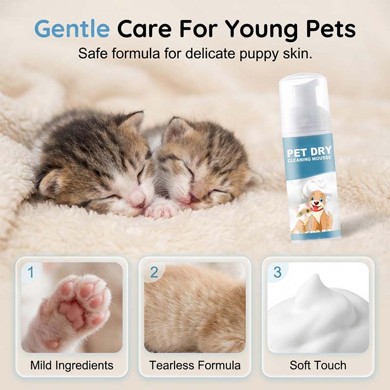 Nem szeretnél minden alkalommal fürdetni kedvencedet? 🐶🐱 Vízmentes tisztítóhab kutyáknak és macskáknak