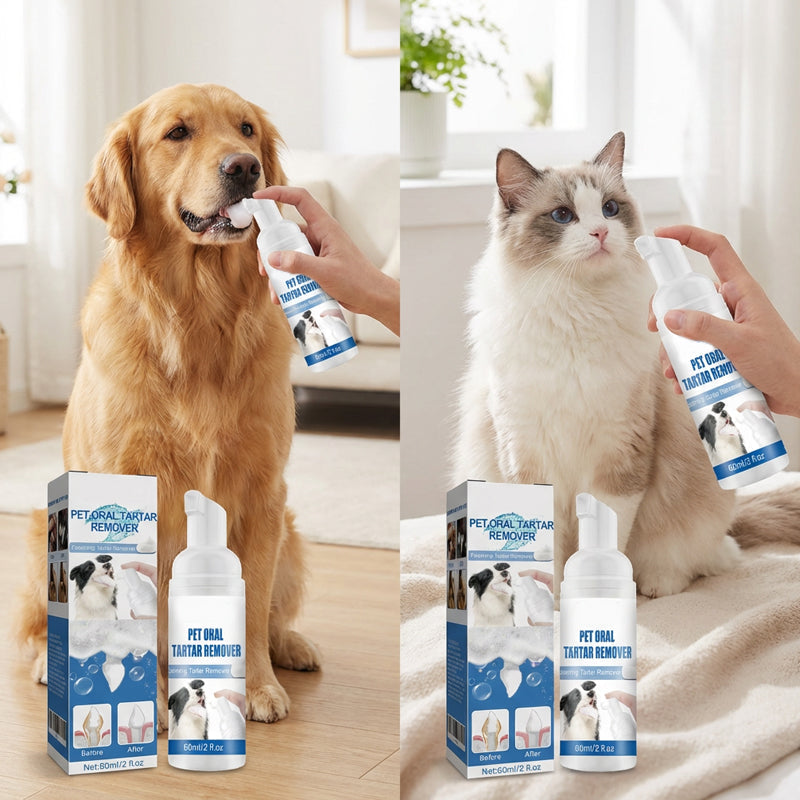 Aggódsz kedvenced fogkőjéért és rossz szájízéért? 🐾🦷 Habzó fogkőeltávolító háziállatok szájápolásához