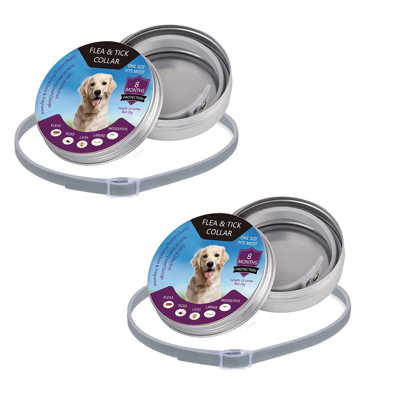 🐶🐱 Macskáknak és kutyáknak szánt bolha- és kullancsriasztó nyakörv
