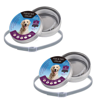 🐶🐱 Macskáknak és kutyáknak szánt bolha- és kullancsriasztó nyakörv
