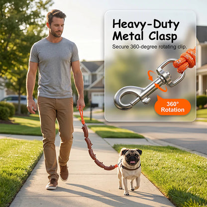 🐶 Aranyos vidám tacskó mintás design, kifejezetten dachshund kutyákhoz