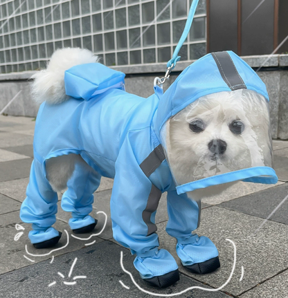 🐶 Esőkabátok kutyáknak – Védi a szőrt az esőtől és sártól minden sétán!