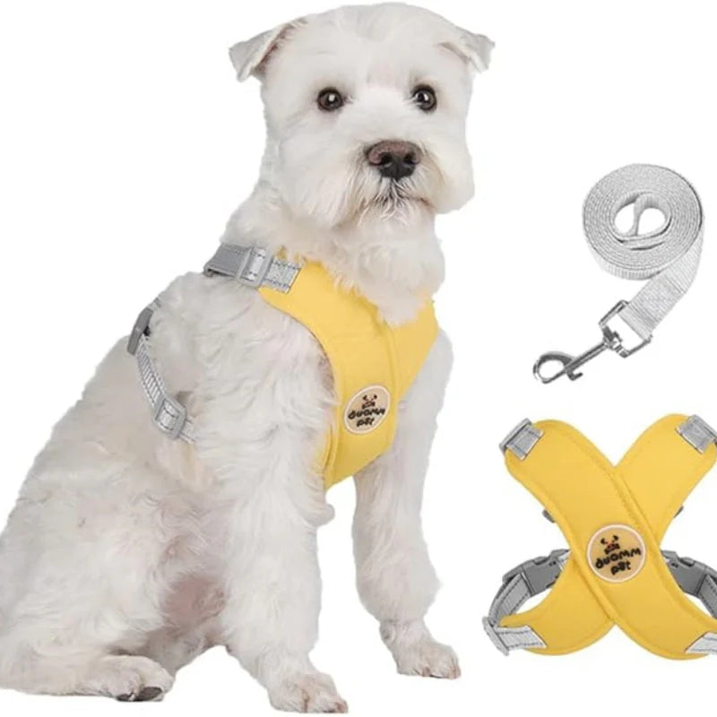 🐕 X alakú kialakítású, húzásgátló mellény és kutyapóráz szett