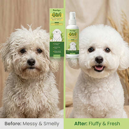 😩 Kutyád utálja a fürdetést, gyors frissítésre van szüksége séták után? 🐾 -Kutyafürdő-spray