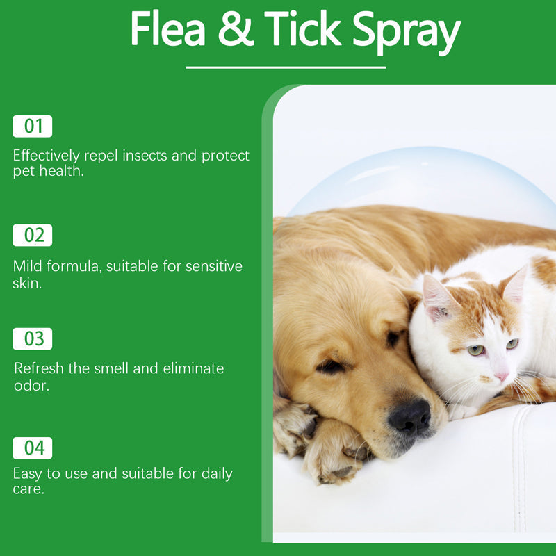 Természetes bolha- és kullancsriasztó spray kutyáknak és macskáknak