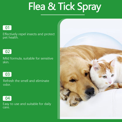Természetes bolha- és kullancsriasztó spray kutyáknak és macskáknak
