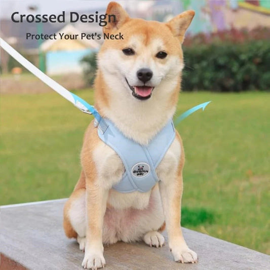 🐕 X alakú kialakítású, húzásgátló mellény és kutyapóráz szett