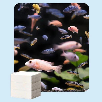 ✨ AKVÁRIUM TISZTÍTÓ LAPOK: 24h Kristálytiszta Víz + Szagok Eltávolítása! 🌊 Biztonságos halaknak & növényeknek 🌿🔮