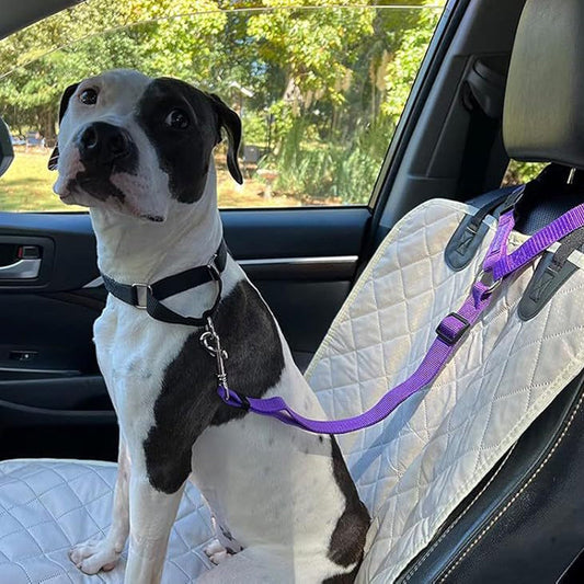 Félsz, hogy kutyád autóban vagy sétálás közben elszabadul? 🐶🚗 🐾 Kétfunkciós kutyás biztonsági öv és póráz