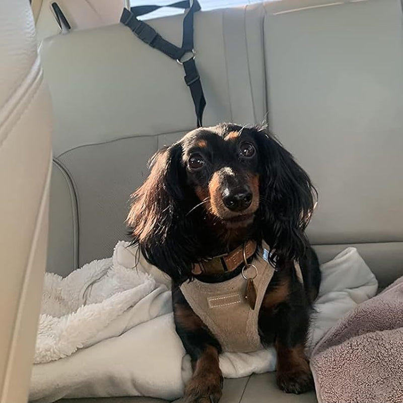 Félsz, hogy kutyád autóban vagy sétálás közben elszabadul? 🐶🚗 🐾 Kétfunkciós kutyás biztonsági öv és póráz