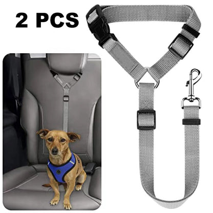 Félsz, hogy kutyád autóban vagy sétálás közben elszabadul? 🐶🚗 🐾 Kétfunkciós kutyás biztonsági öv és póráz